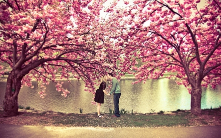 kiss - abstract, kiss, spring blossom, photography