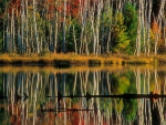 Council Lake