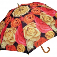 Umbrella With Roses