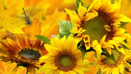 Sunflower Sensation - sunflowers, yellow, summer, ladybug, gold, maple, leaves, fall, autumn, bright, Thanksgiving, dragonfly