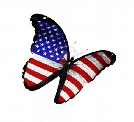 American Flag on Butterfly Flying Isolated