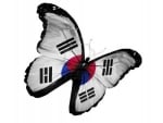 South Korea Flag Butterfly Flying High