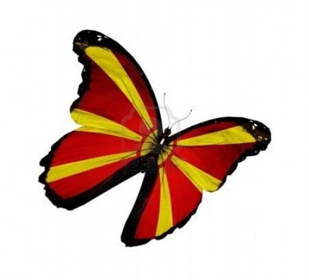 Macedonian flag butterfly - Flag, Butterfly, Flying, macedonian