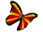 Macedonian flag butterfly