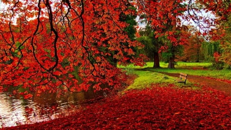 Autumn - lake, autumn, trees, colourful