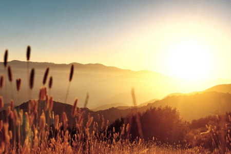 Sunset - field, sunset, grass, sun