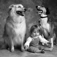 *** CHILD AND DOGS ***