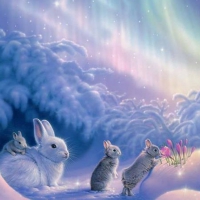 Cute Winter Bunnies