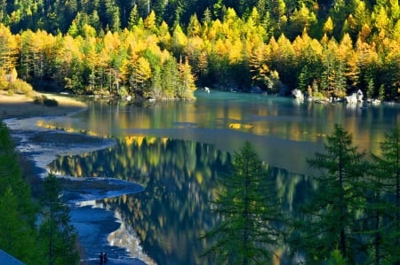 Lake Derborence - nice, lake, autumn, trees, water, shore, lovely, nature, view, reflection, beautiful, leaves, colors