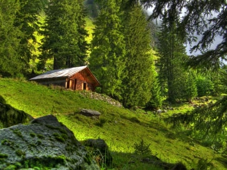 Isolated - nice, hut, slope, trees, cottgae, greenery, calm, view, quiet, house, mountain, wooden, summer, lovely, serenity, isolated, forest, beautiful, silence, cabin