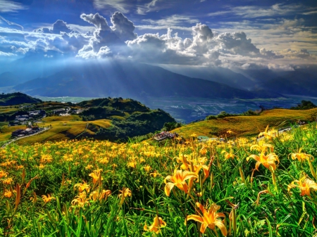 Natures beauty - flowers, sky, nature, mountain