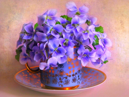 Still life - flowers, still life, petals, blue