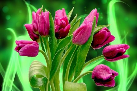 Tulips fantasy - pretty, delicate, beautiful, photoshop, lovely, bouquet, leaves, harmony, flowers, fantasy, tulips, purple, green, background, nice