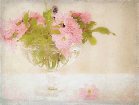 Still Life - vase, decoration, beauty, pink, home, flowers, style, soft, pastel