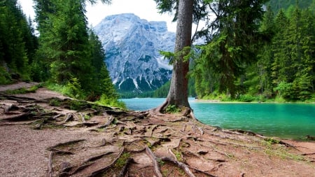 Lake Braies - calm, quiet, trees, water, Braies, beautiful, forest, lovely, mountain, lakeshore, shore, serenity, lake, nice, emerald