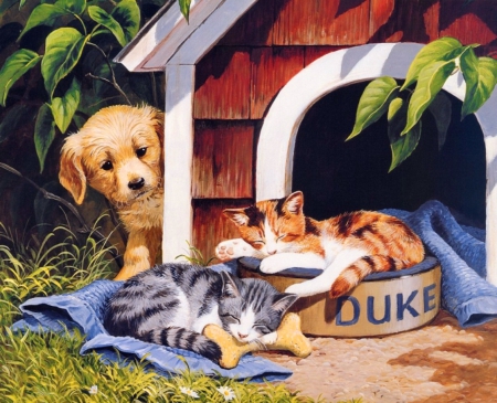 My sleeping friends - dog, leaves, kittens, garden, cats, puppy, friends, yard, nice, art, sleeping, kitties, house, beautiful, lovely, sweet, painting, cute, adorable