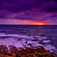 Purple waves