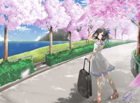 Under The Cherry Blossoms - sky, girl, ribbons, blue eyes, summer, path, black hair, petals, clouds, anime, cherry blossoms, short hair, dress