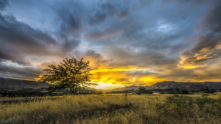 spectacular sunset - mountains, clouds, tree, fields, sunset