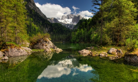 THE SUNKEN MEADOWS - trees, water, mountains, lagoons, clouds, snow, green, alps, austria, landscapes