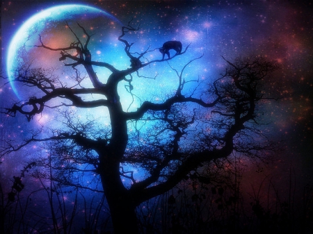 Silent Night - photomanipulation, sky, trees, animals, creative pre-made, moons, quiet, digital art, landscapes, silent night, branches, forests, night, silent, plants, nature, love four seasons, backgrounds, scenery