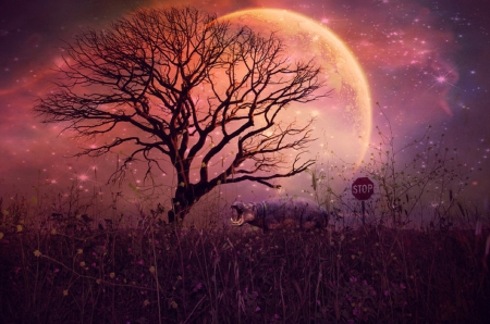 Screams of Animals - photomanipulation, trees, animals, screams of animals, creative pre-made, moons, quiet, digital art, landscapes, branches, forests, night, silent, plants, nature, love four seasons, backgrounds, scenery