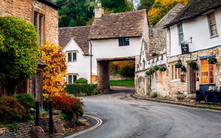 Houses - flowers, road, houses, photo