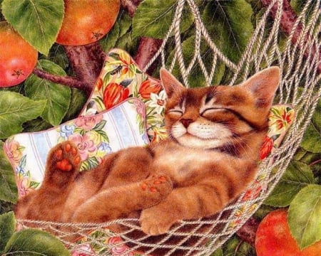 Relaxation - relaxing, sleeping, cat, fruits, hammock, pillows, tree