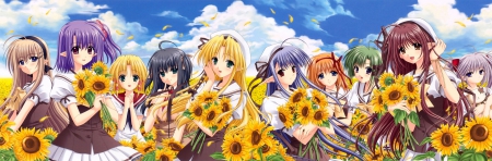 SunFlower - pretty, anime, female, scenery, blossom, scene, maiden, team, dress, long hair, short hair, group, sunflower, nice, Shuffle, sky, gown, anime girl, beautiful, hot, girl, scenic, beauty, lovely, sweet, flower, lady, cloud, cute, floral, sexy