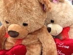 Teddy bears