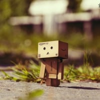 Cute Danbo