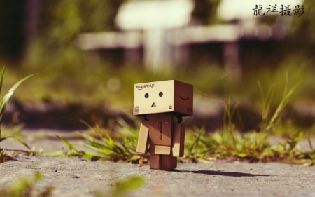 Cute Danbo - danbo, abstract, lonely, photography, beautiful, robot, cute