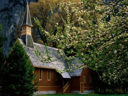 Yellowstone Chapel - trees, wooden, church, mountains