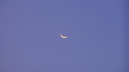 moon - white, moon, sky, blue