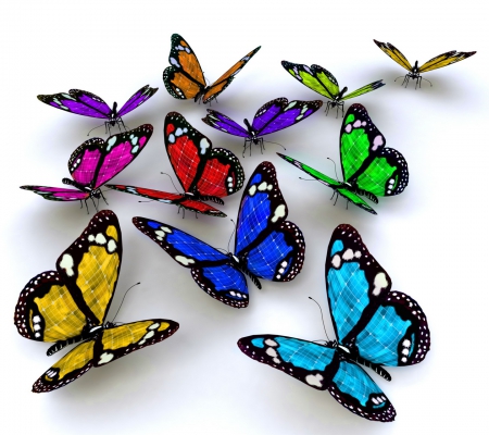 Colorful Butterflies - colorful, nature, animals, butterflies