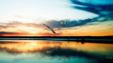 Sunsets Sea - clouds, birds, gulls, beach, sea, reflection, shore, sunset, tranquility, bright, serenity, sky, bay