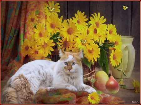 cute cat...... - flowers, cute, cat, fruits