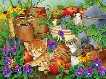 Jane Maday - criters, jane, cat, kittens, jane maday, bird, maday, napping, mouse, apple, garden, cute, flower