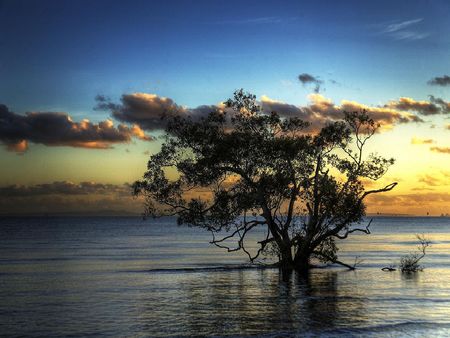 The Gentle Splashing of the Sea Against the Shore - gentle, splashing, sea, shore