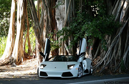 Lamborghini Murcielago LP640 Roadster - murcielago, car, tuning, lp640, lambo