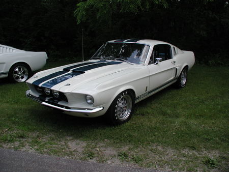 Ponys in the Yard - classic, rare, muscle, car