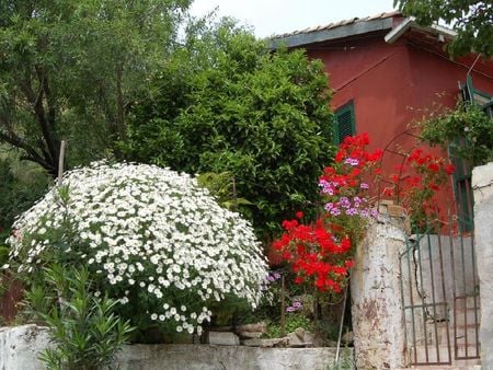 	welcome home - flowers, house