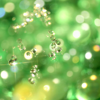 Sparkling Green Jewels