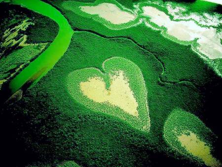 Dreamy Heart - aerial view, landscape, heart, green