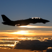 F-14 Tomcat in its Golden Years
