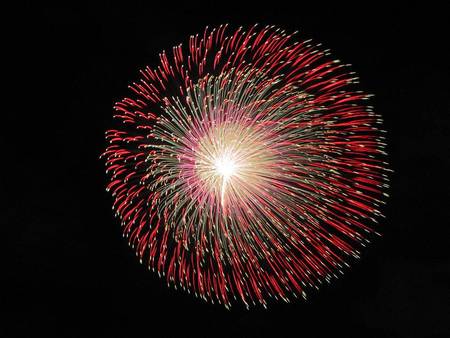 Single Blast - celebrate, new year, sky, night, fireworks