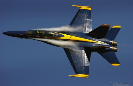 F-18 Hornet - wing, fighter, jet, firepower, military, aircraft, air, force, plane