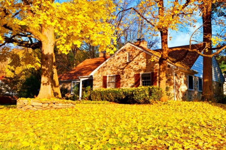 Golden days - nice, cottage, autumn, trees, peaceful, countryside, foliage, fall, quiet, calmness, golden, house, falling, day, silent, lovely, serenity, nature, village, beautiful, leaves