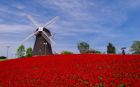 Tsurumi Ryokuchi Park - flowers, osaka, japan, field, windmill, park, sky