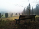 Bench overlooking field!